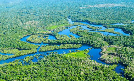 El río Amazonas en Brasil.